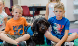 Primary students sit in a classroom with Walker the therapy dog